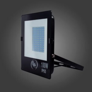 FLOOD DE 100 W B.FRIO CHIP SENCILLO