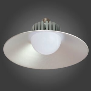 FOCO T. BULBO MOGUL 100W CW