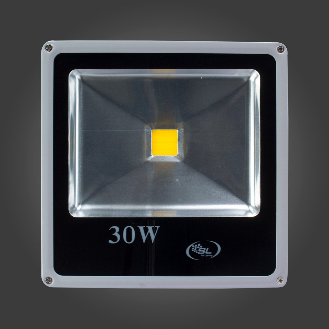 FLOOD PLANO SL DE 30W IP65 BFRIO